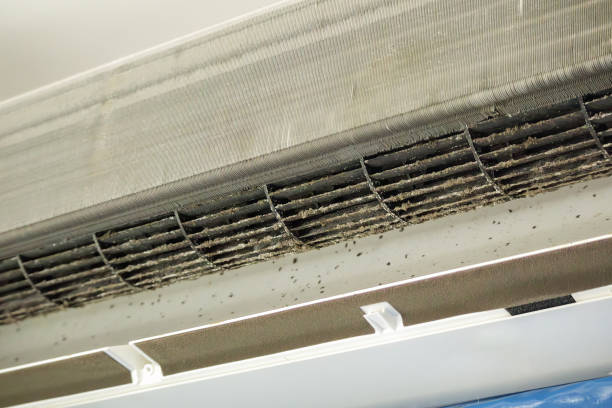 Best Affordable HVAC Duct Cleaning  in Colleyville, TX